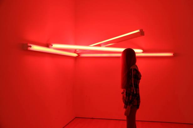 14409523_1383844778293154_5833566656065566942_o