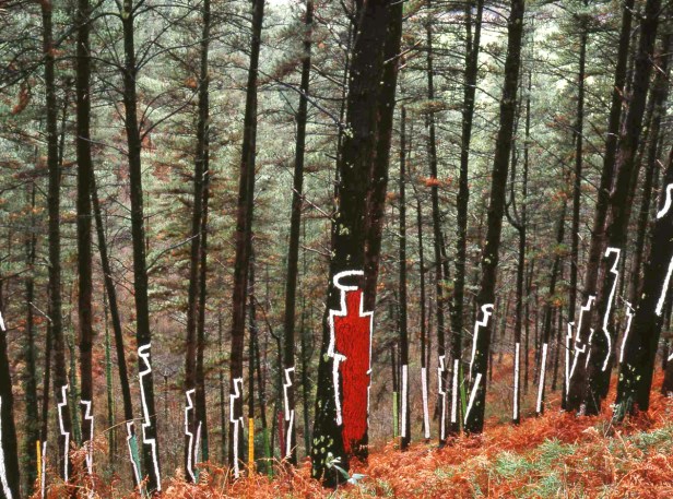 agustin-ibarrola-bosque-oma3