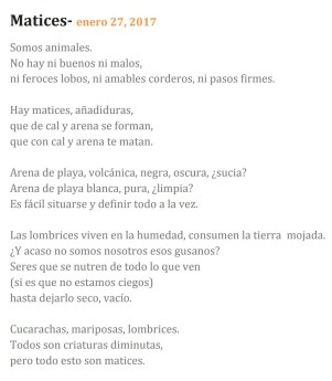 Matices (texto)