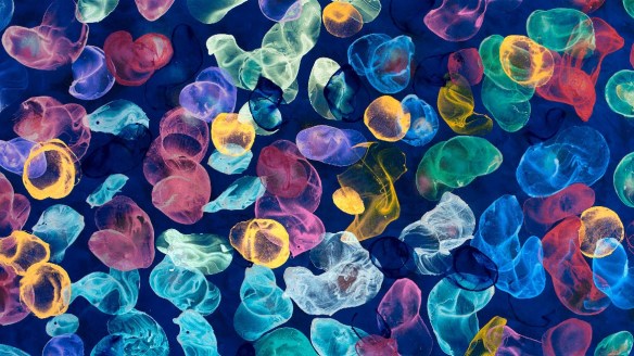 Dokoupil - Sin título (Pompas)”, 2017.