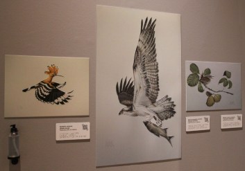 Detalle de la exposición 'Pájaros en la cabeza'