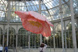 Amapola. Petrit Halilaj