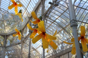 Flores. Petrit Halilaj